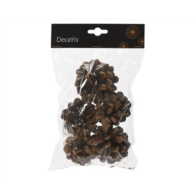 Decoris Set of 5 Pinecones 5.91 in., Pack of 36