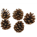 Decoris Set of 5 Pinecones 5.91 in., Pack of 36