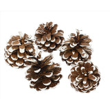 Decoris Set of 5 Pinecones 5.91 in., Pack of 36