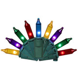Celebrations Classic LED T5 Multicolored 100 ct String Christmas Lights 24.75 ft., Pack of 12