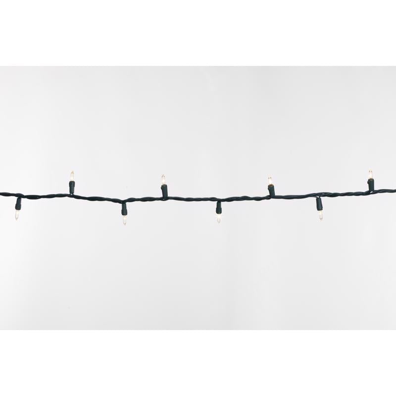 Celebrations Classic LED T5 Warm White 100 ct String Christmas Lights 24.75 ft., Pack of 12