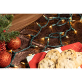 Celebrations Classic LED T5 Warm White 300 ct String Christmas Lights 74.5 ft., Pack of 12