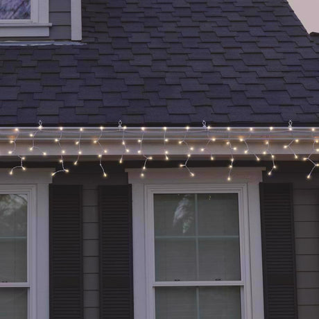 Celebrations Classic LED T5 Warm White 300 ct Icicle Christmas Lights 19.6 ft.