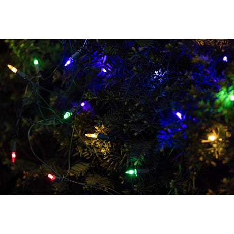 Celebrations Classic LED T5 Multicolored 100 ct Net Christmas Lights 4 ft.
