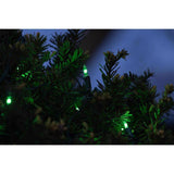 Celebrations Classic LED T5 Green 100 ct Net Christmas Lights 4 ft.