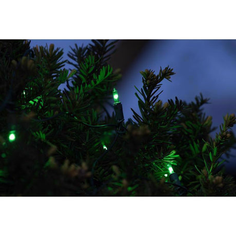Celebrations Classic LED T5 Green 100 ct Net Christmas Lights 4 ft.