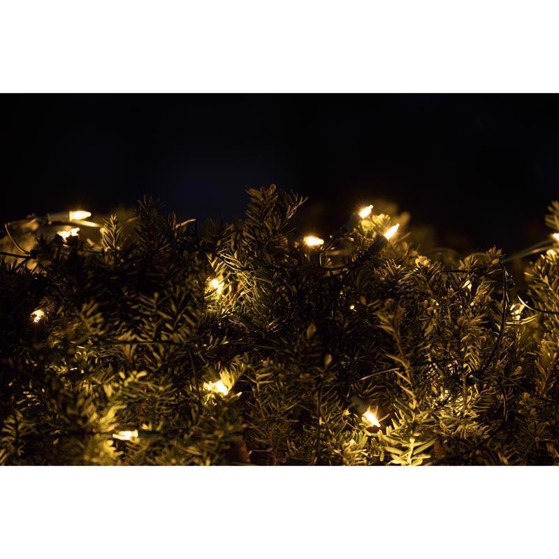 Celebrations Classic LED T5 Warm White 100 ct Net Christmas Lights 4 ft.