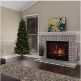 Holiday Bright Lights 1-2 Tree 7 ft. Full LED 350 ct Hudson Fraser Fir Color Changing Christmas Tree