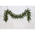 Celebrations 6 ft. L LED Prelit Multicolored LED and Multi-Function Northern Pine Garland, Pack of 12