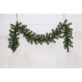 Celebrations 6 ft. L LED Prelit Multicolored LED and Multi-Function Northern Pine Garland, Pack of 12