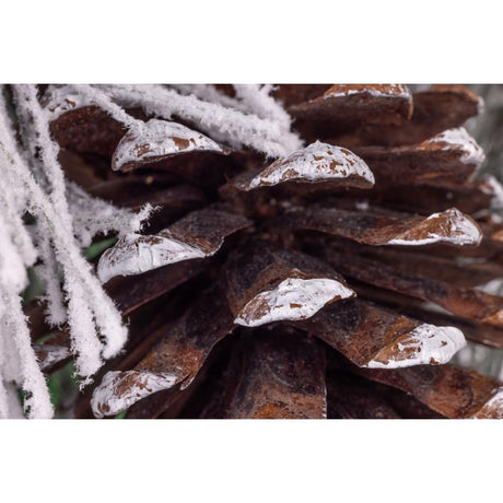 Celebrations Home 30 in. D LED Prelit Multicolored Snowy Scotch Pine Wreath, Pack of 4