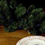 Celebrations LED T5 Multicolored/Warm White 50 ct String Christmas Lights 24.5 ft.