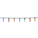 Celebrations LED C9 Multicolored 25 ct String Christmas Lights 8 ft.