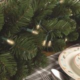 Celebrations Platinum LED T5 Clear/Warm White 50 ct String Smart-Enabled Christmas Lights 16.6 ft.