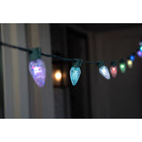 Celebrations Platinum LED RGBW Novelty Smart-Enabled Christmas Lights 6 ft.