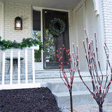 Celebrations Platinum Brilliant LED Prelit RGBW Entryway Kit Wreath and Garland Set