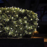Celebrations Classic LED T5 Pure White 100 ct Net Christmas Lights 4 ft.