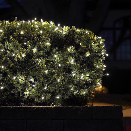Celebrations Classic LED T5 Pure White 100 ct Net Christmas Lights 4 ft.