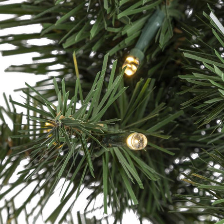 Celebrations 24 in. D LED Prelit RGBW Brilliant Wreath