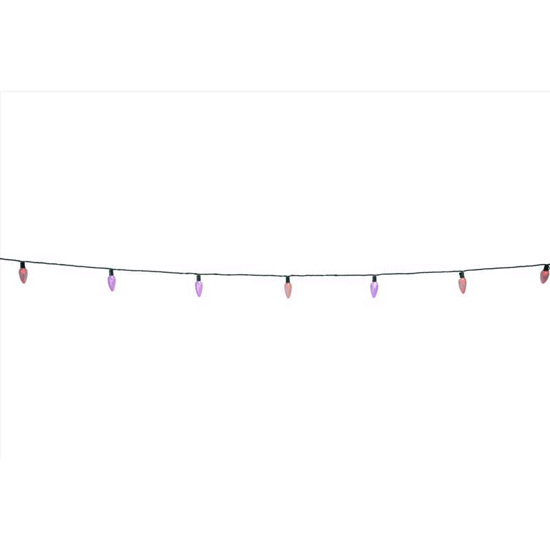 Celebrations Platinum LED C9 RGBW 25 ct String Lights w/Remote Christmas Lights 25 ft.