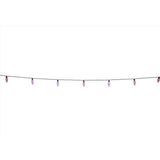 Celebrations Platinum LED C9 RGBW 25 ct String Lights w/Remote Christmas Lights 25 ft.