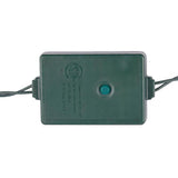 Celebrations Platinum LED C9 RGBW 25 ct String Lights w/Remote Christmas Lights 25 ft.