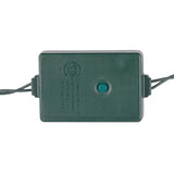 Celebrations Platinum LED C9 RGBW 25 ct String Christmas Lights 25 ft.