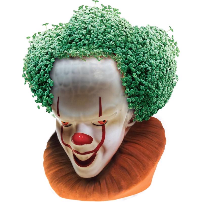 Chia Pet Pennywise the Clown Licensed Planter Clay 1 pk, Pack of 16