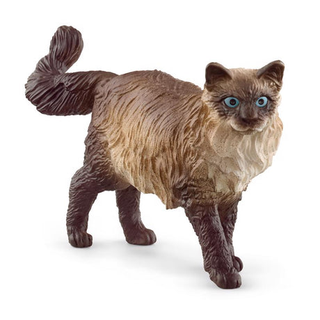 Schleich Ragdoll Cat Figurine Brown 1 pc, Pack of 5