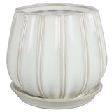 Trendspot Contour 5.5 in. H X 5.9 in. W X 5.9 in. D X 6 in. D Ceramic Planter White, Pack of 2