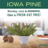 Mrs. Meyer's Clean Day Iowa Pine Scent Hand and Body Lotion 12 fl. oz. 1 pk, Pack of 6