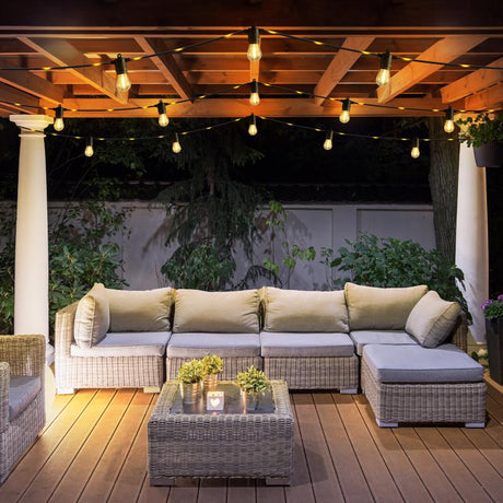 Feit LED Firefly Rope String Light Set Clear 24 ft. 12 lights