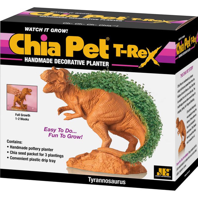 Chia Pet Dinosaur TRex Decorative Planter Terracotta Clay 1 pk, Pack of 16