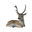 Decoris Brown Artificial Fur Deer Table Decor 10 in., Pack of 4
