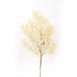 Second Nature Woodsy Oak Leaves Fall Decor, Pack of 24