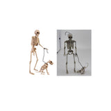 Fun World 14 in. Skeleton Walker Asst Halloween Decor, Pack of 12