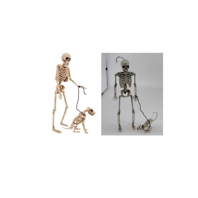 Fun World 14 in. Skeleton Walker Asst Halloween Decor, Pack of 12