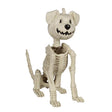 Seasons 17 in. Pumpkin Head Dog Halloween Decor