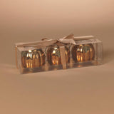Gerson 3 in. Harvest Lanterns Fall Decor, Pack of 8