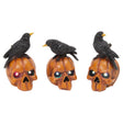 Gerson 6 in. Pumpkin Skull with Crow Fall Decor, Pack of 12