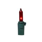 Celebrations Classic LED T5 Multicolored/Warm White 50 ct String Christmas Lights 16 ft.