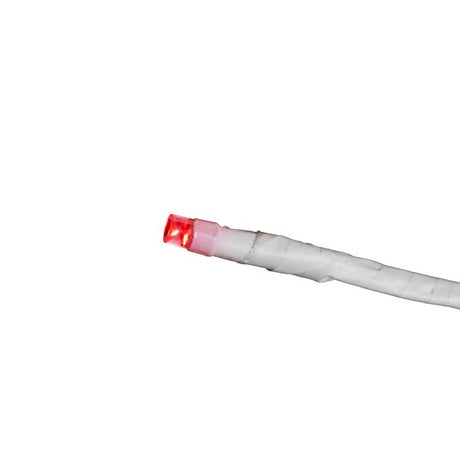 Celebrations LED Red/White Starlight Burst Deluxe 24 in. Hanging Decor