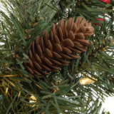 Celebrations 24 in. D LED Prelit Multicolored/Warm White Mixed Pine Rechargeable Wreath