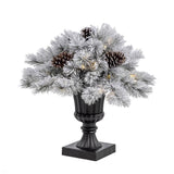 Celebrations 2 ft. Full LED 35 ct Snowy Color Changing Porch Bush
