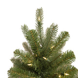 Holiday Bright Lights 7 ft. Full LED 650 ct Virginia Classic 1-2 Color Changing Christmas Tree