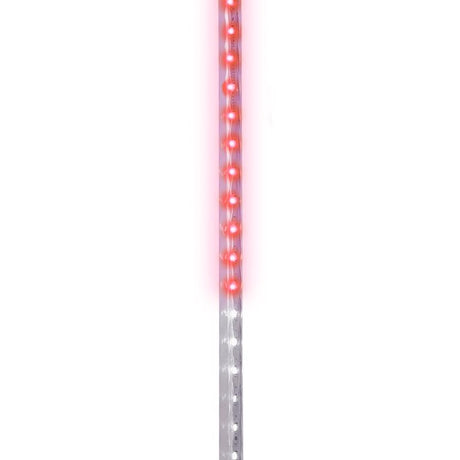 Celebrations LED Multicolored Christmas Lights