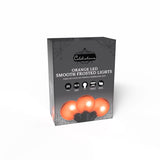 Celebrations Orange 25 ct LED String Lights