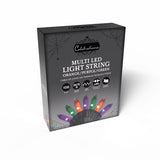 Celebrations Multicolored 100 ct LED Halloween String Lights