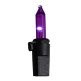 Celebrations Purple 100 ct LED String Lights