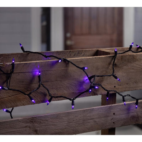 Celebrations Purple 100 ct LED String Lights